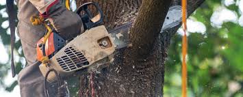 Soil Testing and Treatment in Willards, MD